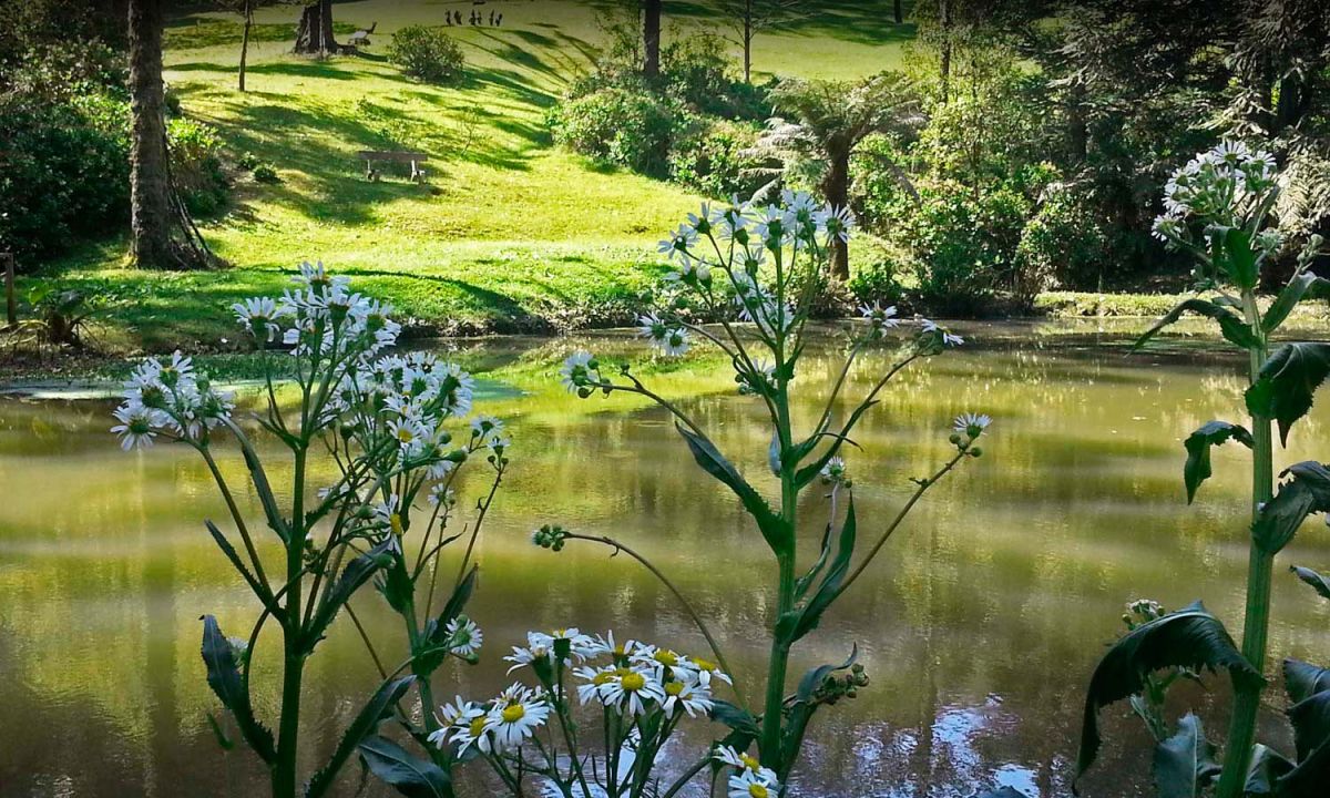 Chalé do Bosque Encantado no Carniel em Gramado